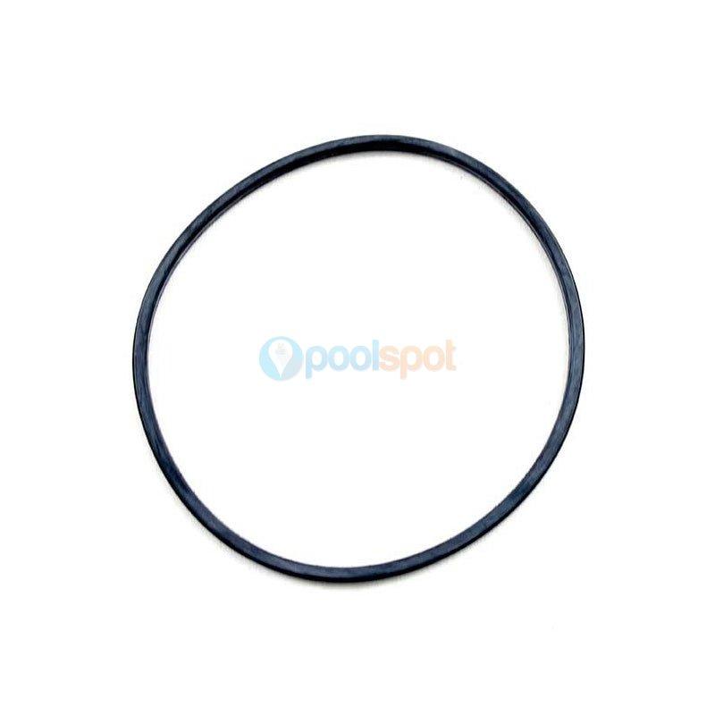 Lid O Ring for Davey / Monarch Whisper Pump (Pre 2008)