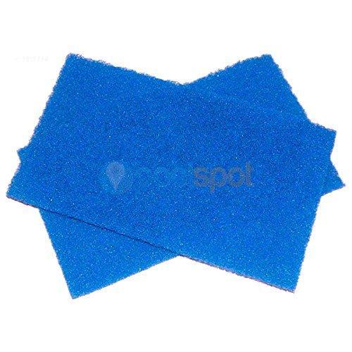 Spring Clean-Up Disposable Mesh Filter (2PK) for Hayward TigerShark / SharkVac